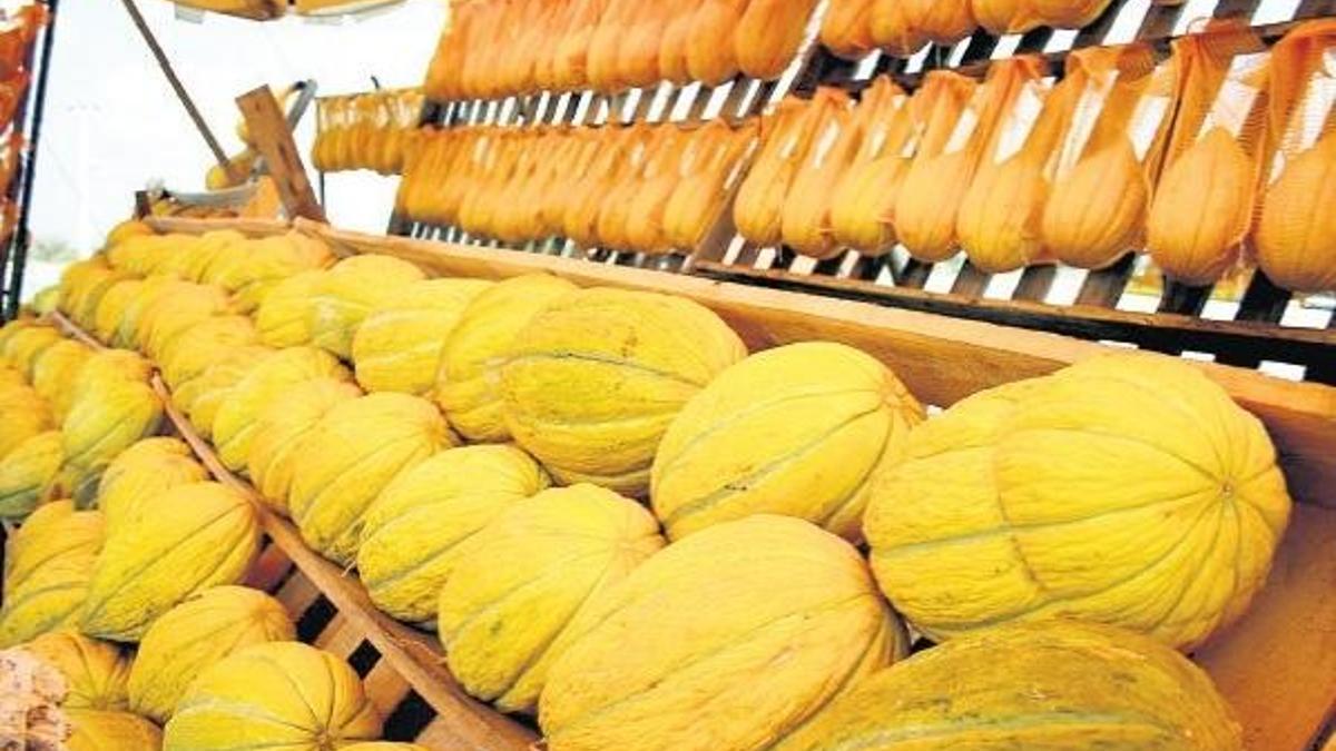 Kavunu koklamayacak barkoduna bakacak