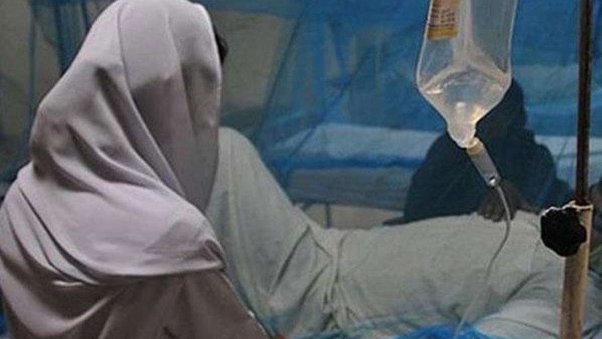 Hindistan'daki Nipah virüsü salgınında 13 ölü
