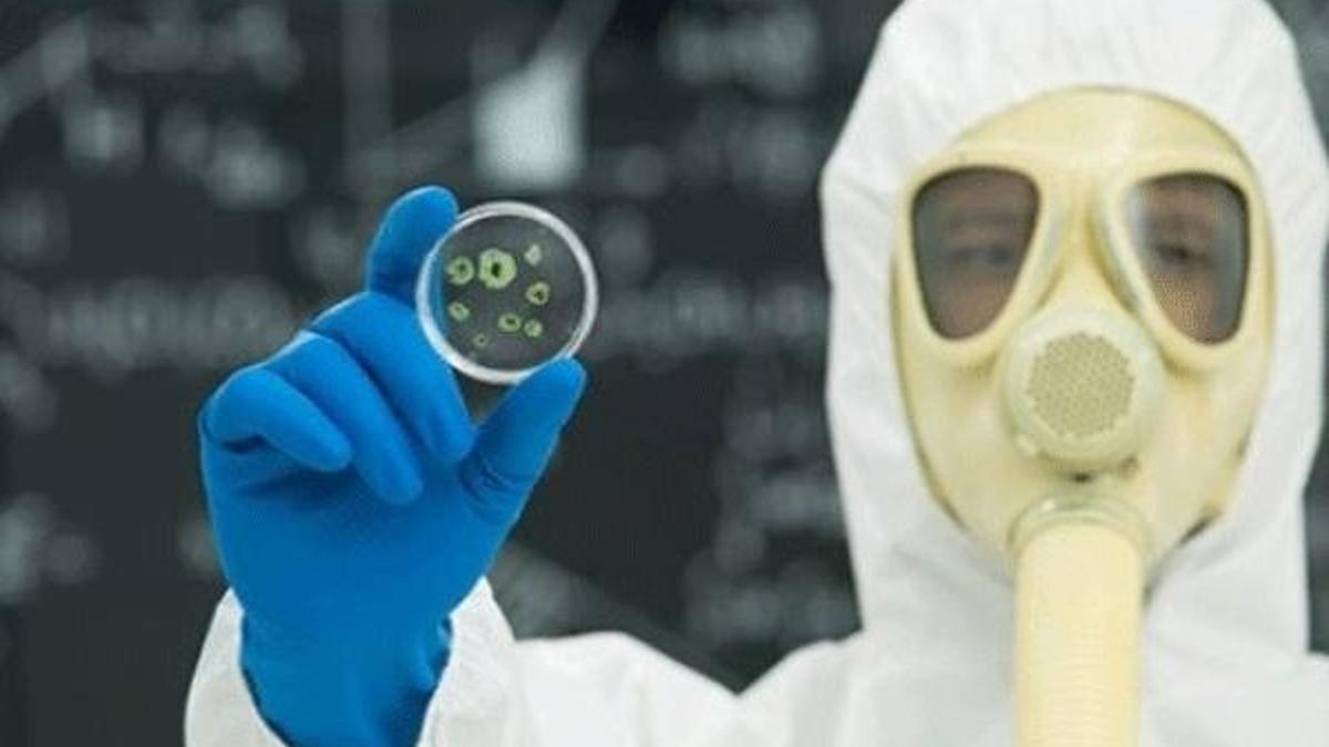Nipah salgınında ölenlerin sayısı 17'ye çıktı