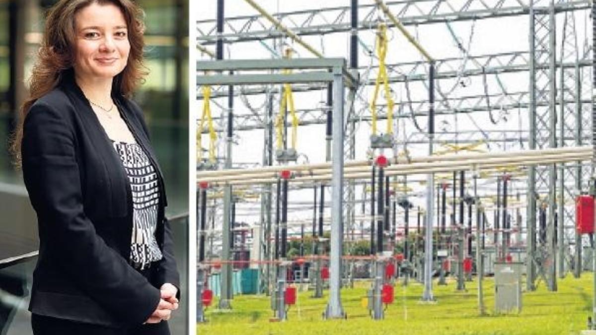 Zorlu’ya 330 milyon dolarlık yeni ‘enerji’