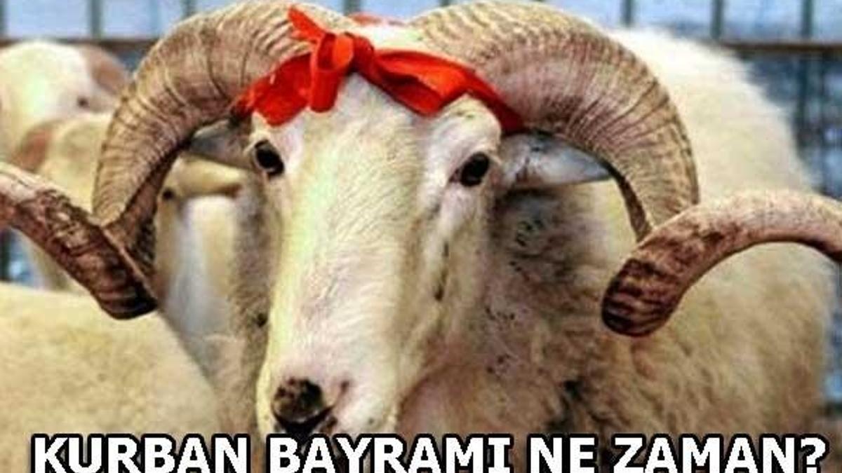 Kurban Bayramı 2018 yılında ne zaman? Bayram tatili kaç gün?