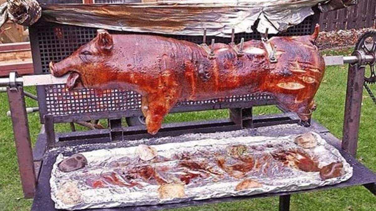 Hollanda'da cami önünde domuz çevirmeye izin!