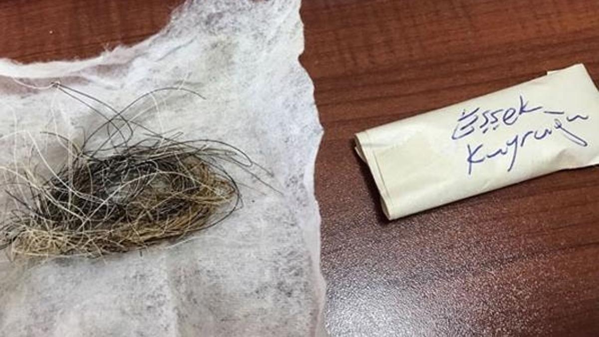 Cinci hoca yakayı ele verdi! Evinden bakın ne çıktı...