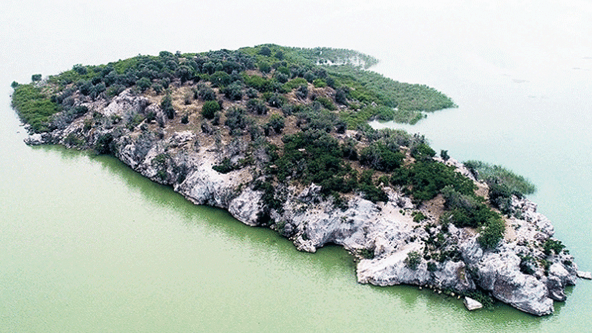 13 milyona satılık