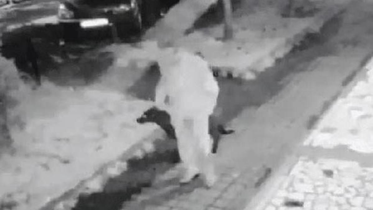 Hayvana şiddette bir sapkın olay da Kadıköy'den