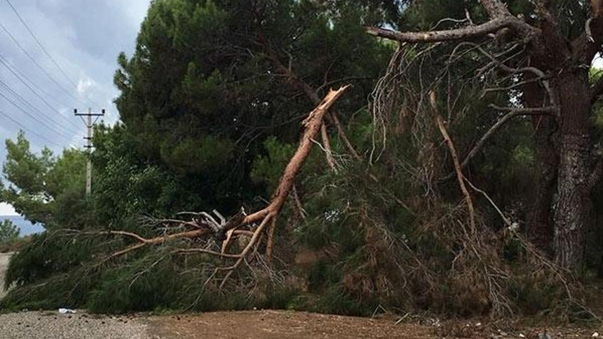 Demre'de yumurta büyüklüğünde dolu hayatı felç etti