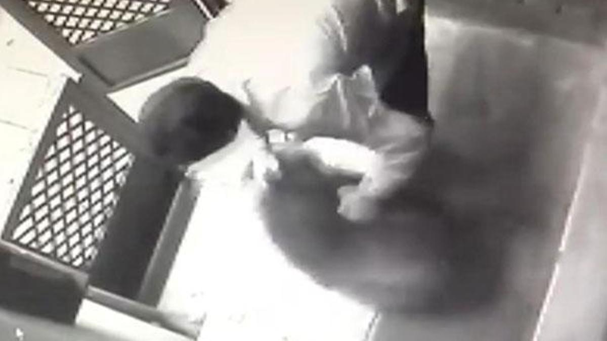 Kadıköy'de köpeğe şiddet kamerada