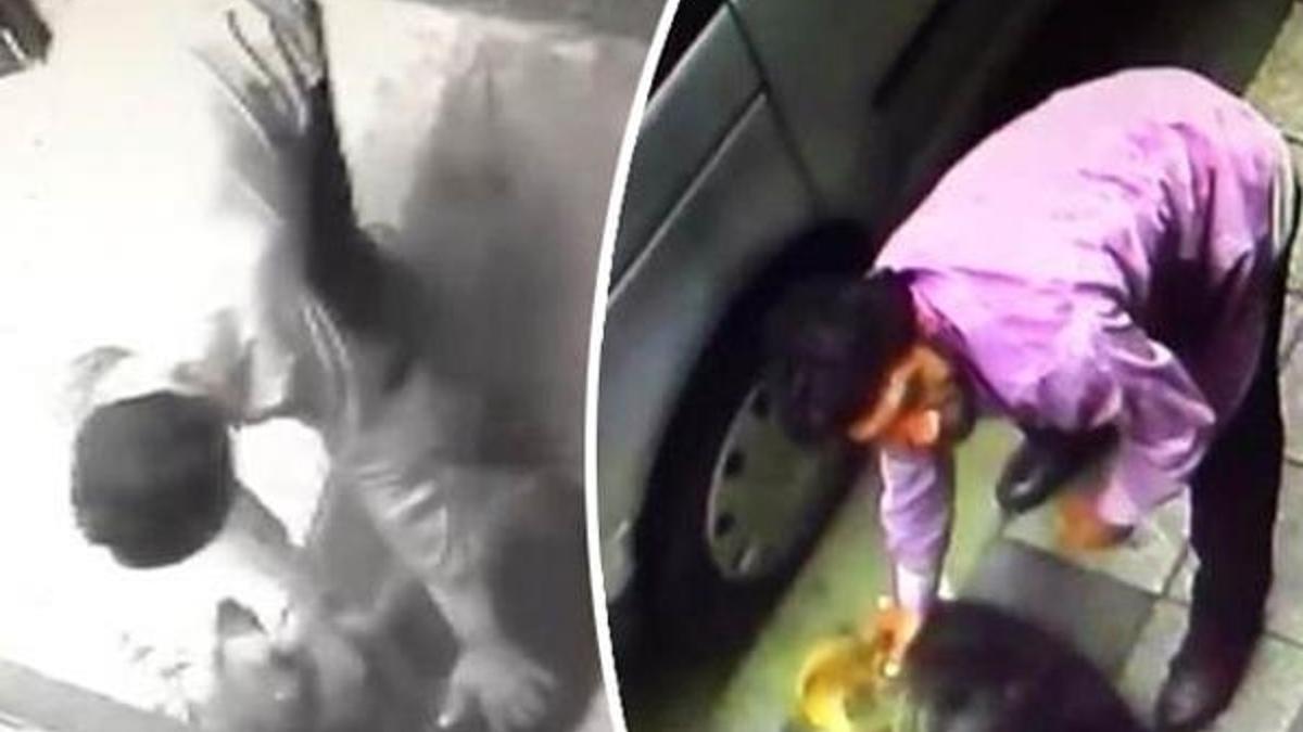 Kadıköy’de köpeğe şiddet uygulayan kişi gözaltına alındı