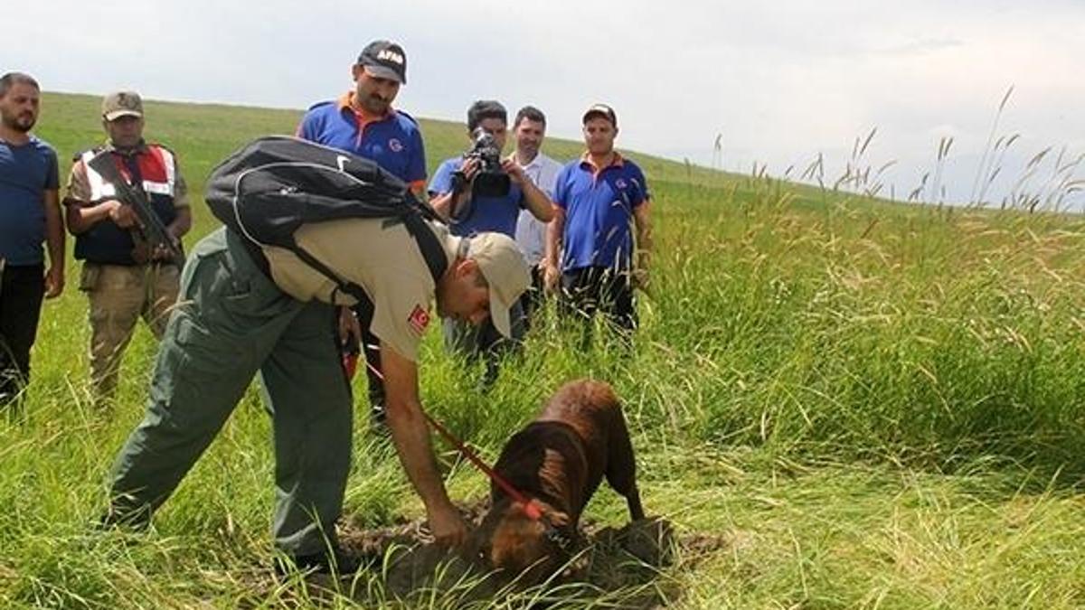 Kayıp Leyla için kadavra arama köpekleri devreye girdi
