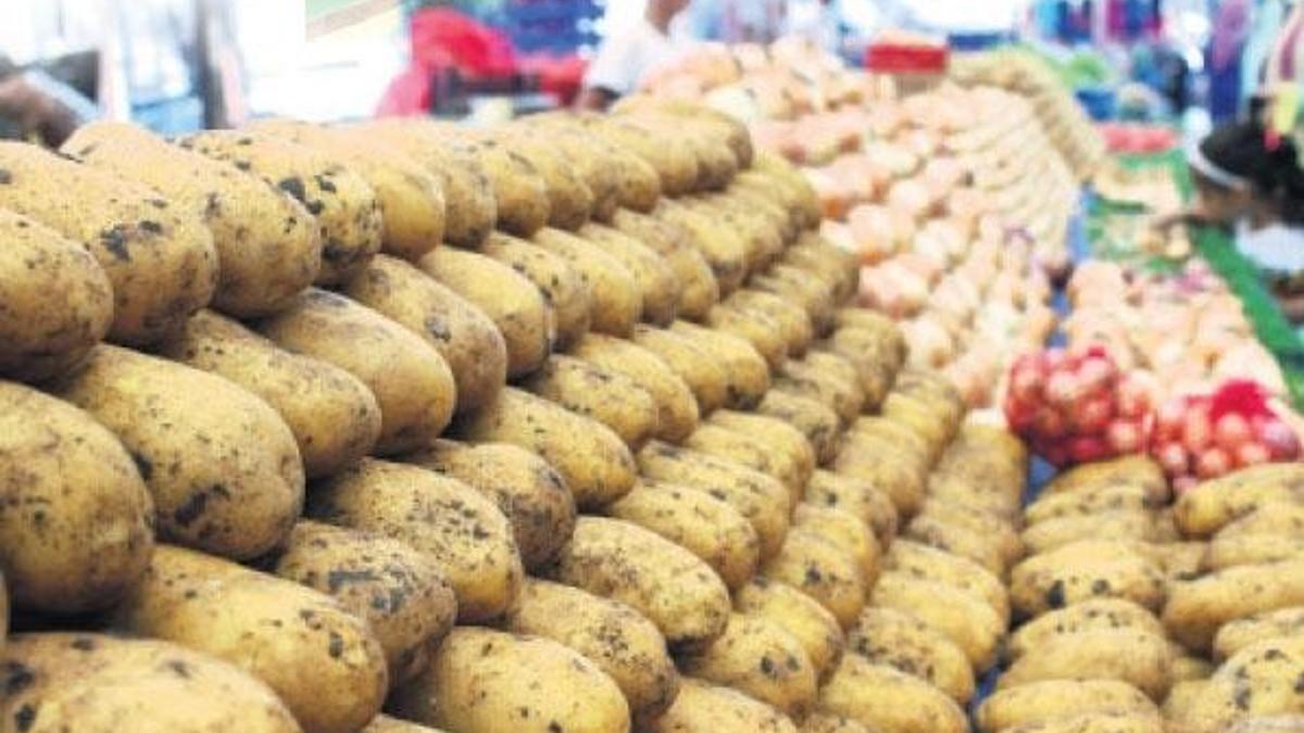 Patates paraşütsüz düştü