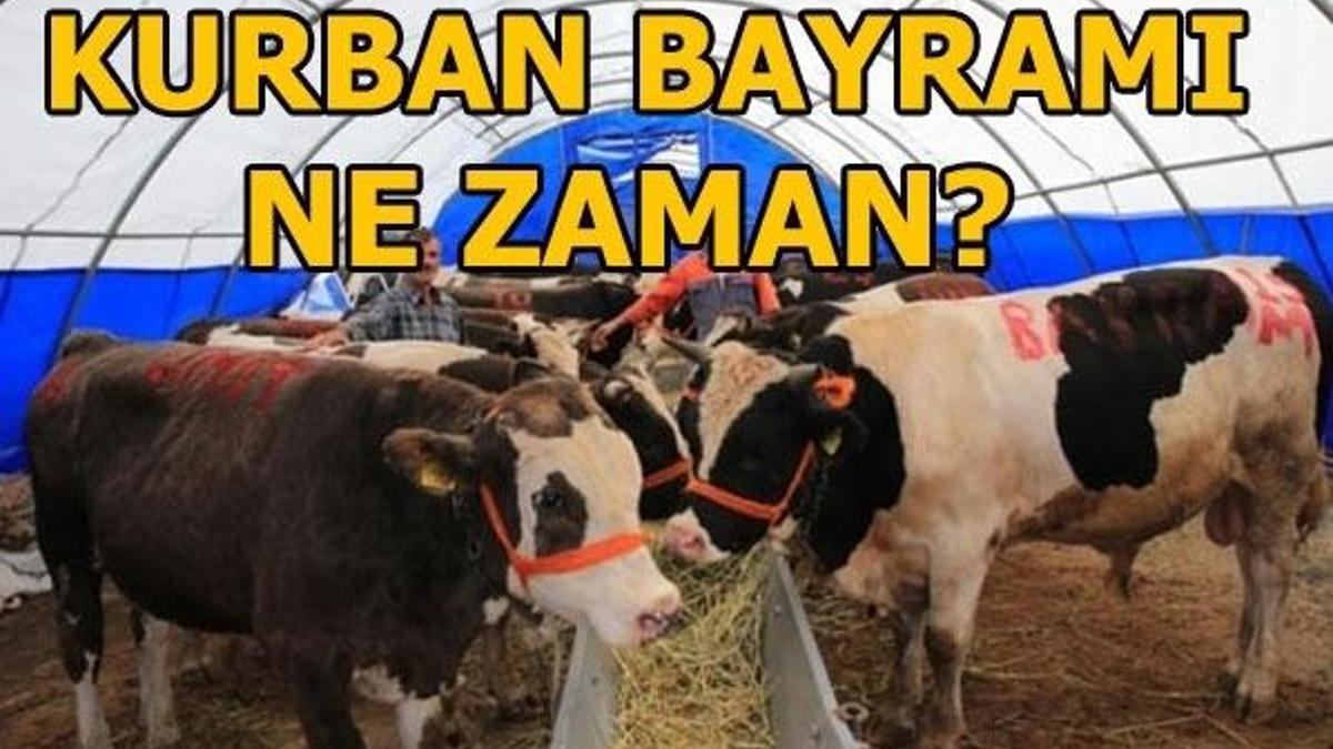 Kurban Bayramı tatili ne zaman başlayacak? Bayram tatili kaç gün olacak?