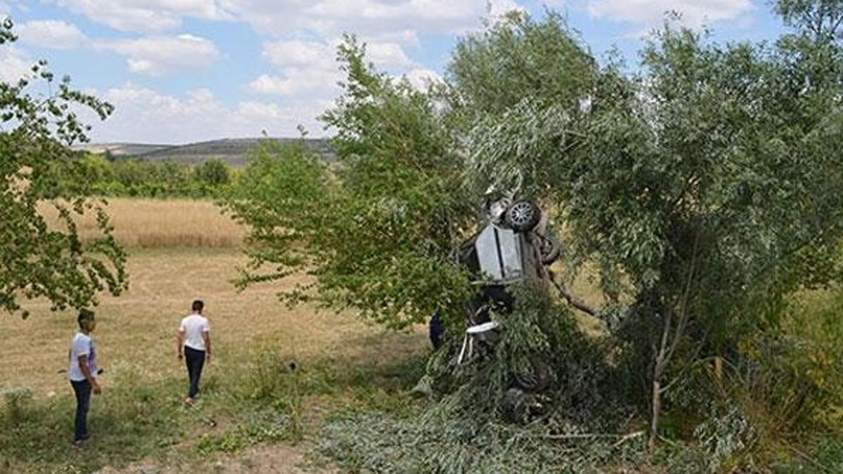 Otomobil ağaçta asılı kaldı!