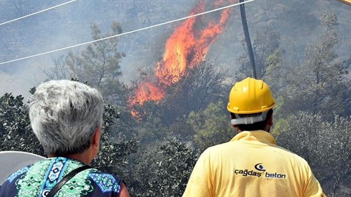Son dakika: Bodrum'da korkutan yangın! Vatandaşlar gözyaşlarıyla izledi...