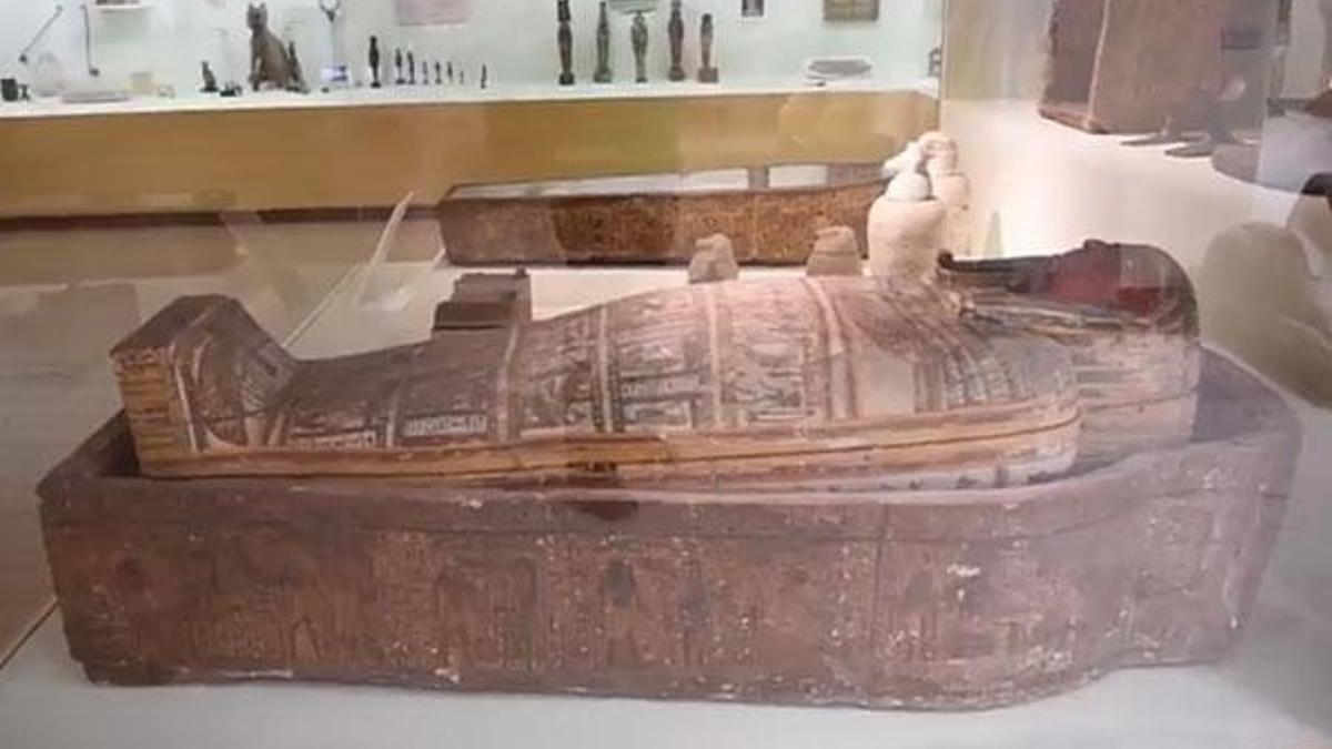 İstanbul'da çocuk kafalı mumya timsah