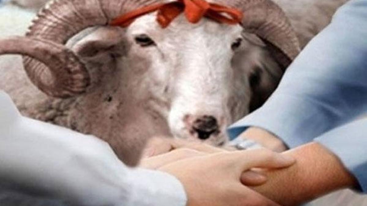 Kurban Bayramı ne zaman? 2018 Kurban Bayramı tatili kaç gün?