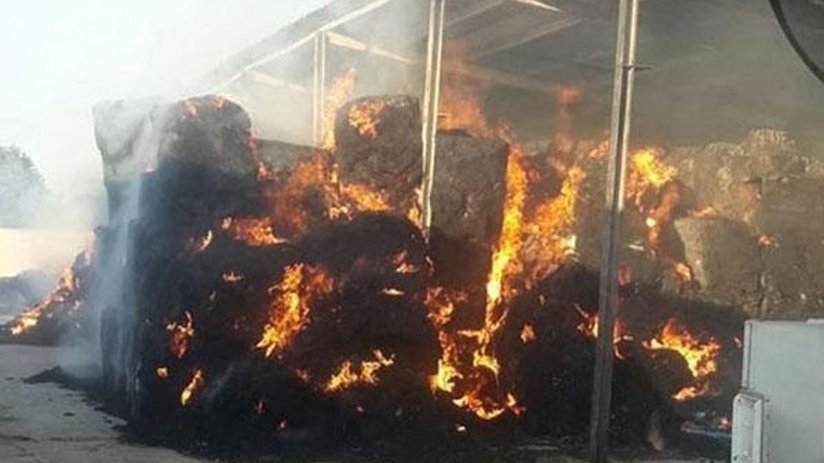 Kocaeli’de çiftlik yangını