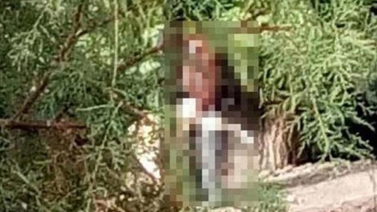 Samsun'da iğrenç olay! 69 yaşındaki kadına sokakta tecavüze kalkıştı