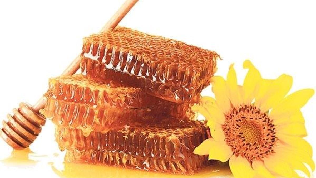 Bal gibi ihracat % 77 arttı