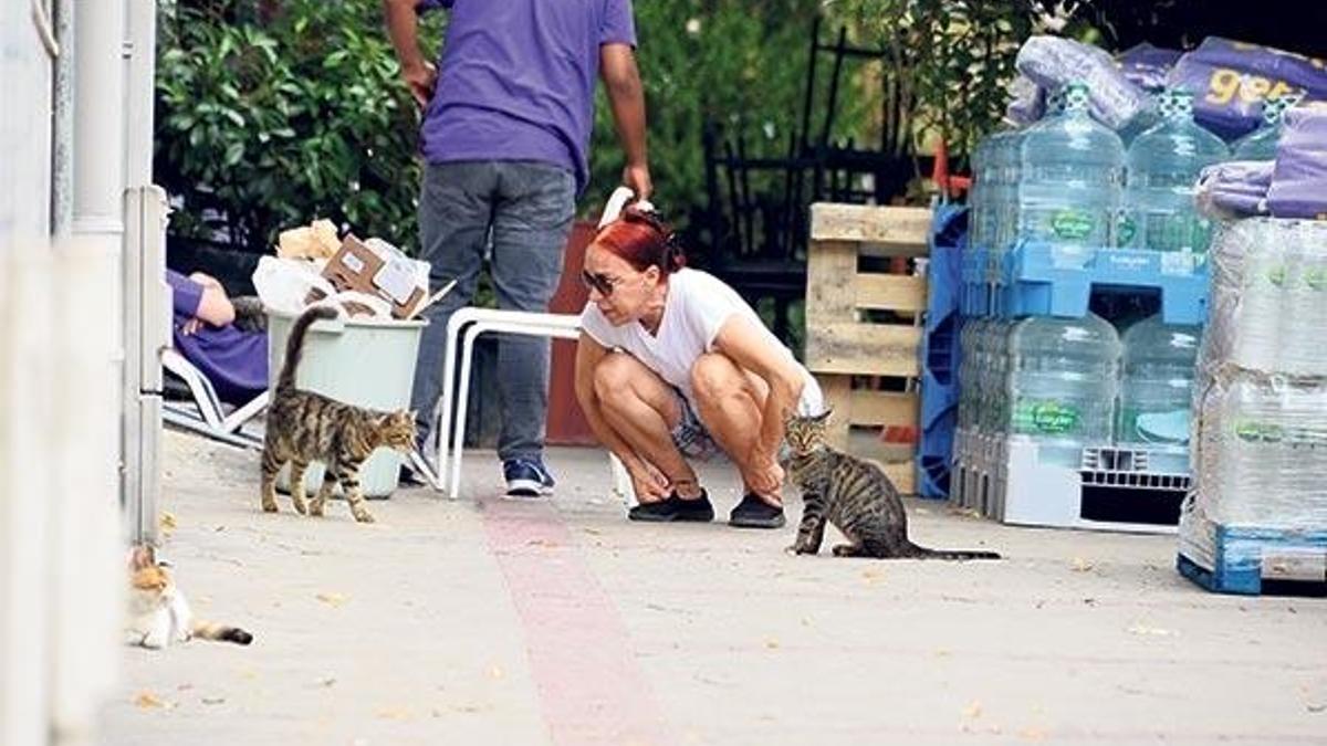 Bu benim görevim