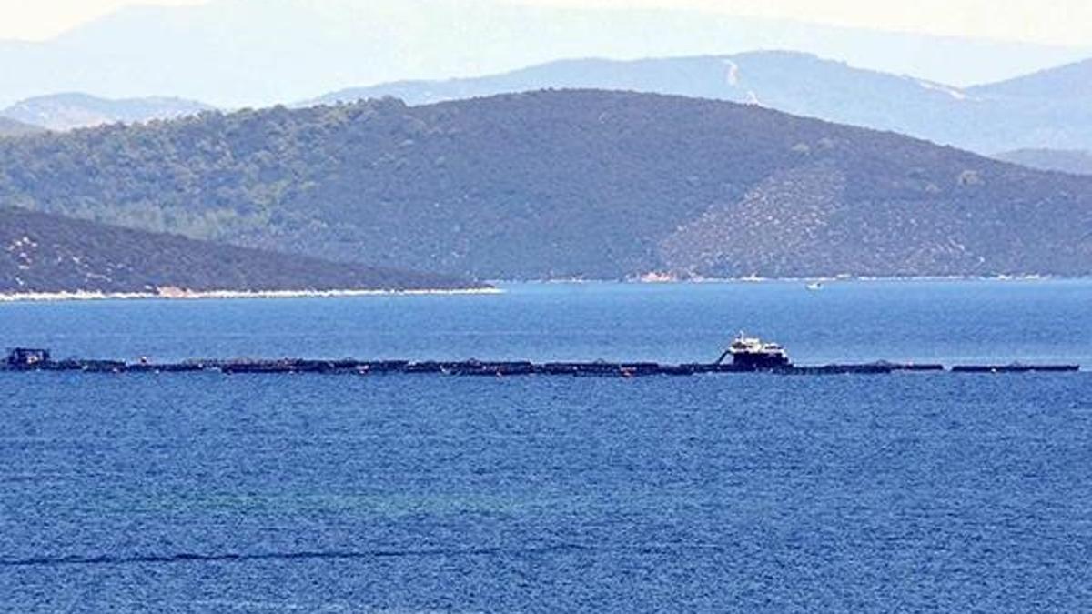 Cennet koyu kirleten balık çiftliklerinin 'şirket' kurnazlığı