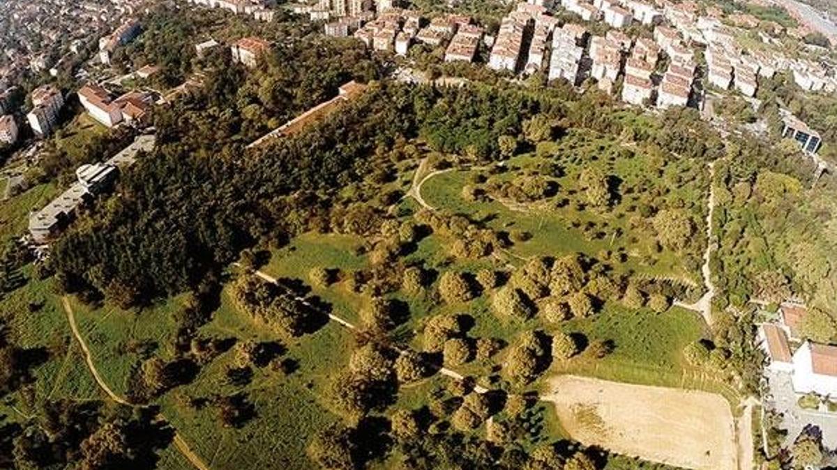 17 ilde 28 tane millet bahçesi