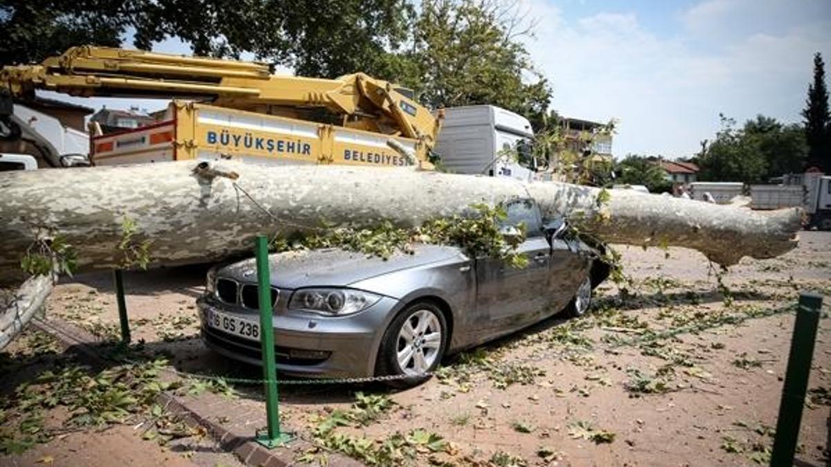 Lüks otomobilin üstüne devrildi!