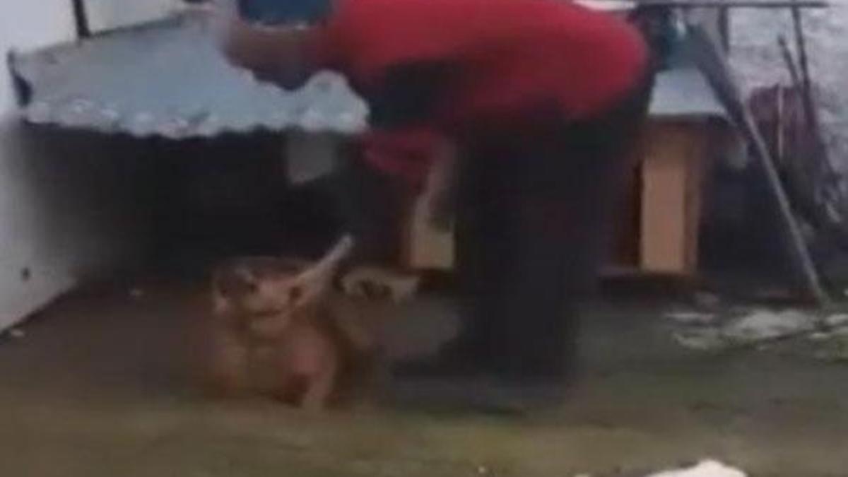 Manisa'da şoke eden görüntü!