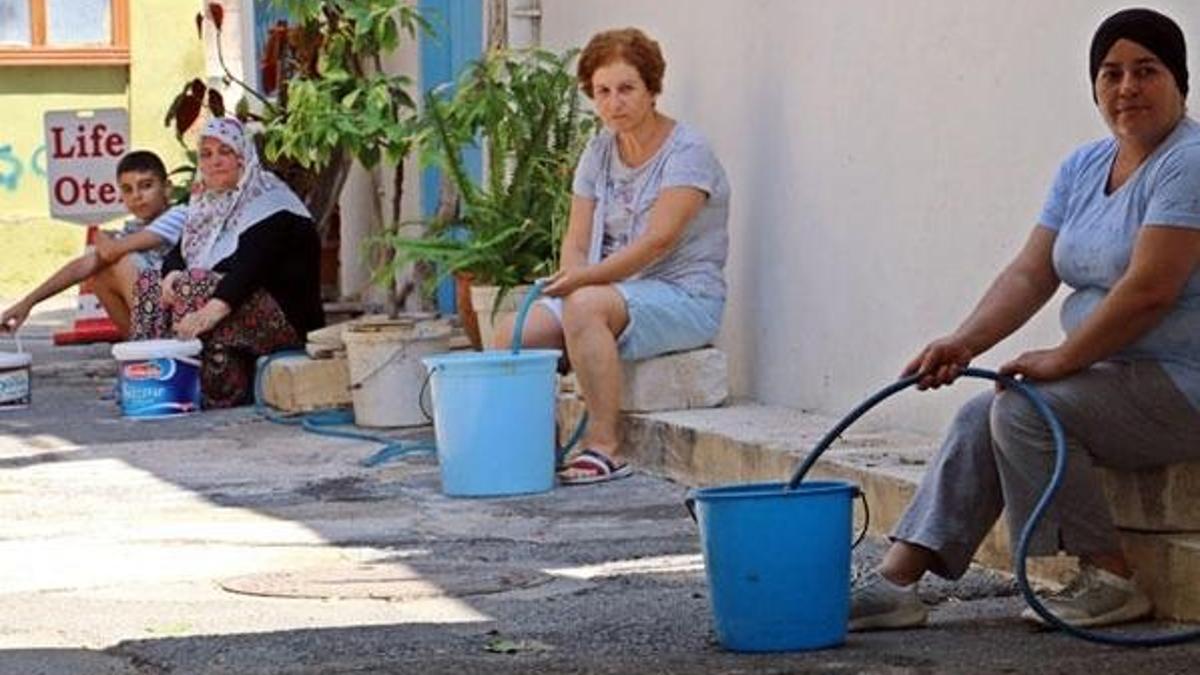 Mahalleyi büyük korku sardı! Bu halde sürekli nöbet tutuyorlar...