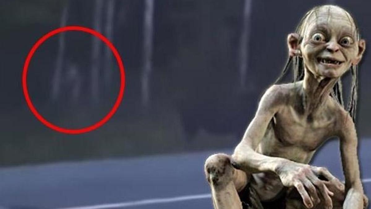 Kanada'da ürküten görüntü! Ormandan çıktı, Gollum'a benzetildi