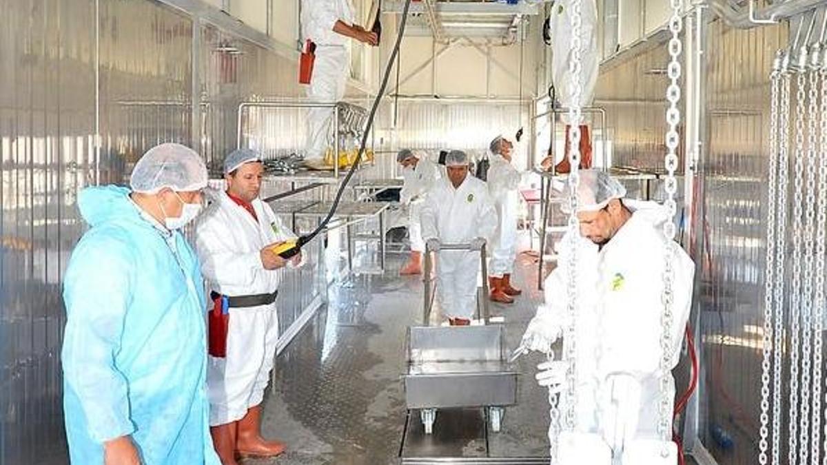 Yasak yerde kurban kesiminin cezası 105 lira