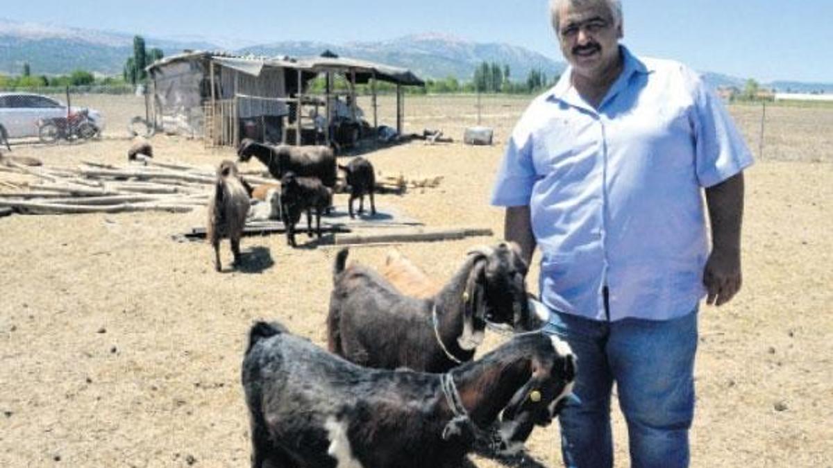 1 futbolcu 1 keçi etmedi