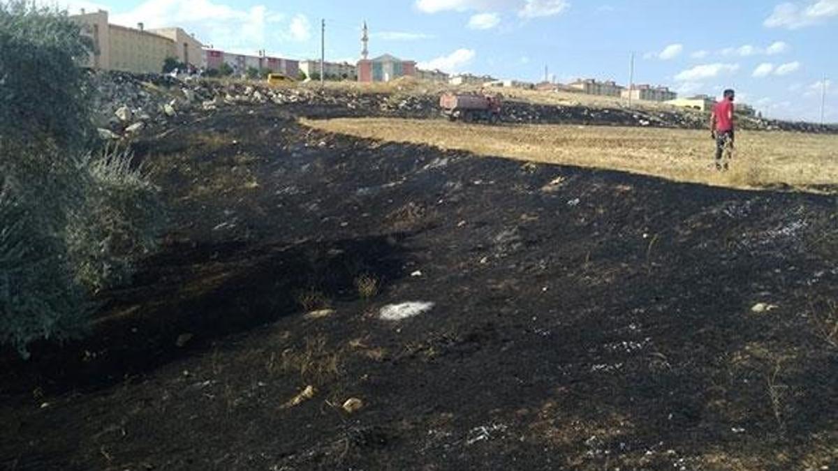 Kuru otları yakmak isterken araziyi yaktı