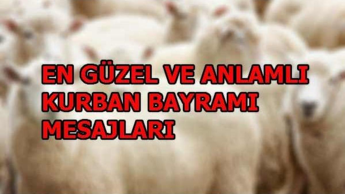 En güzel ve anlamlı Kurban Bayramı mesajları! Resimli bayram mesajları