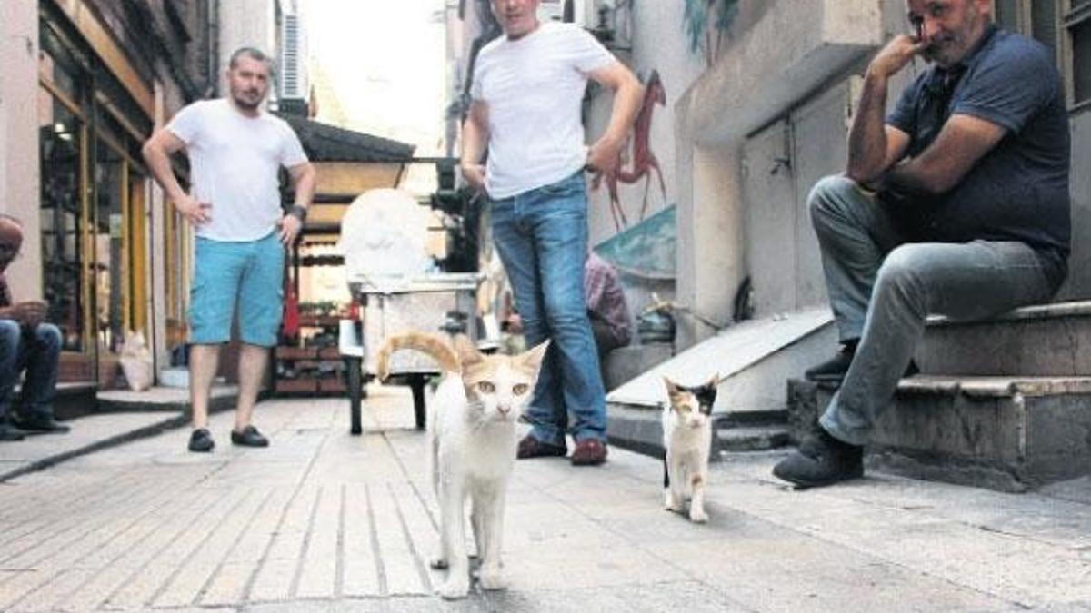 Ayşe’yi esnaf ameliyat ettirdi
