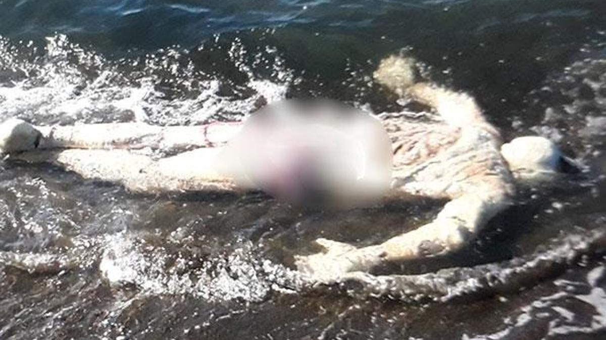 Samsun'da denizde ceset bulundu