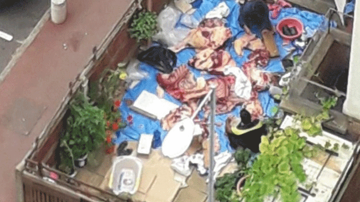 İngiltere’nin göbeğinde kaçak kurban kesimi yaptılar