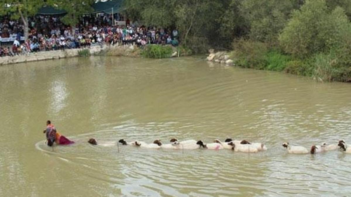 Böyle yarışma görülmedi! 8 asırdır sürüyor
