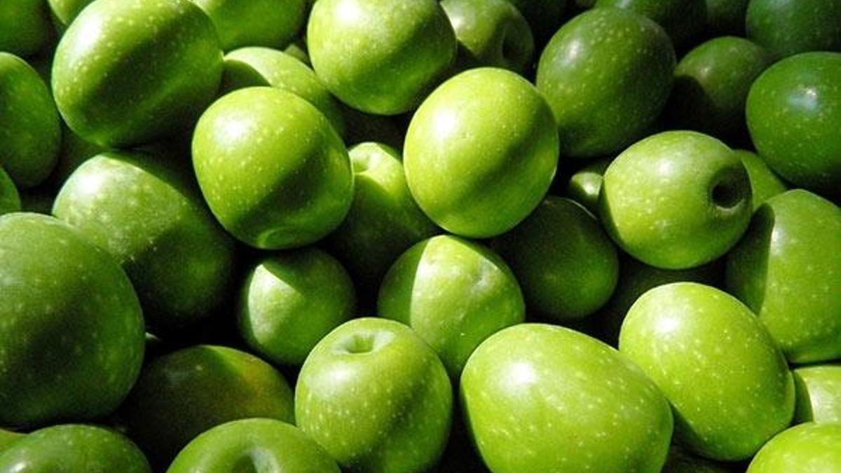 Zeytin ve zeytinyağı ihracatında tarihi rekor