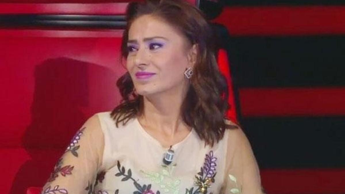 Darwin tweeti sosyal medyada gündem oldu