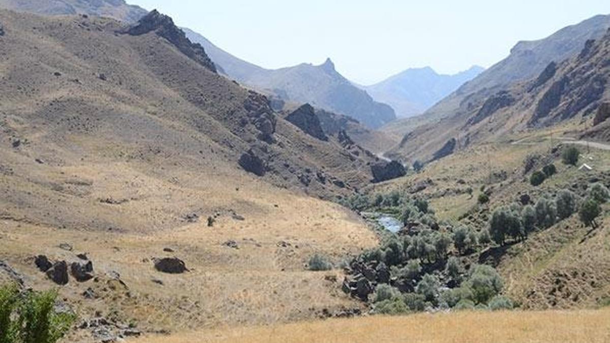 Beytüşşebap'ta PKK'ya yönelik büyük operasyon