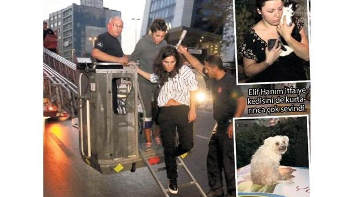 İftaiye yangında kediyi de kurtardı!