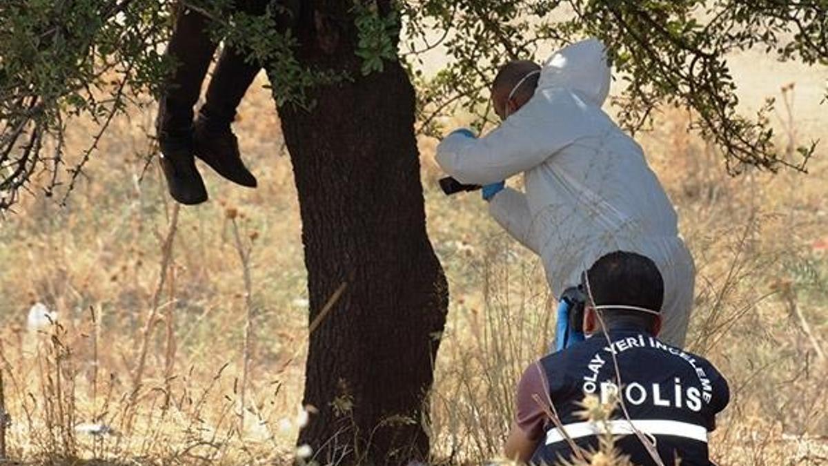 Aydın’da ağaca asılı halde erkek cesedi bulundu!