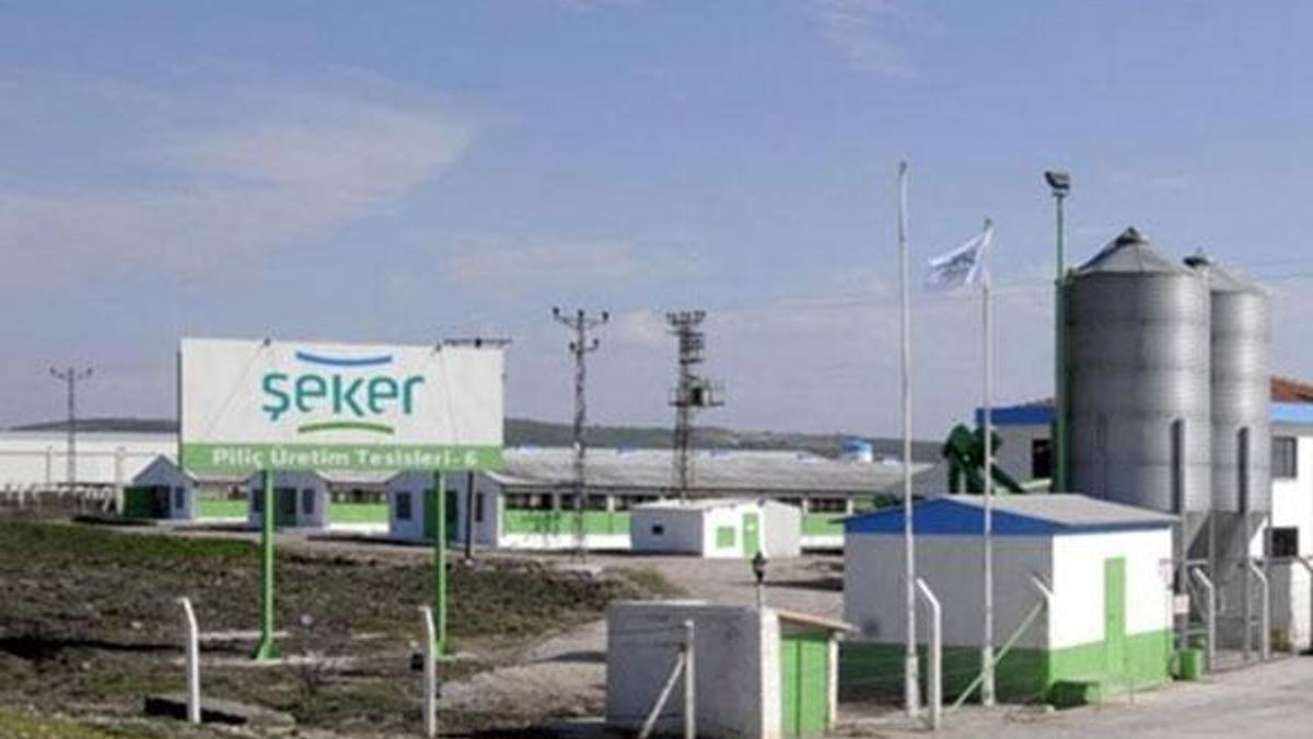 Şeker Piliç’in kesimhane ve idare binası bankanın oldu