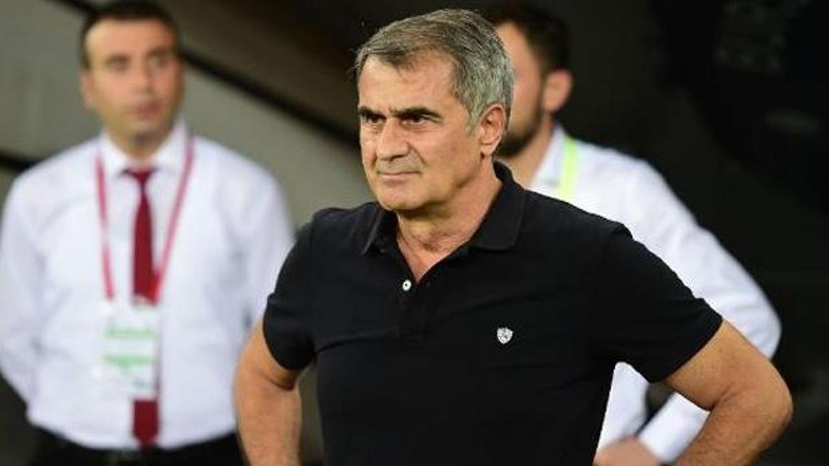 Şenol Güneş İsviçre'ye gitti