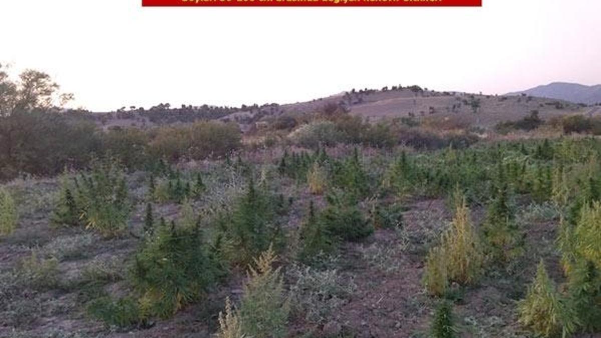 Son dakika: PKK'ya bir tarihi tokat daha