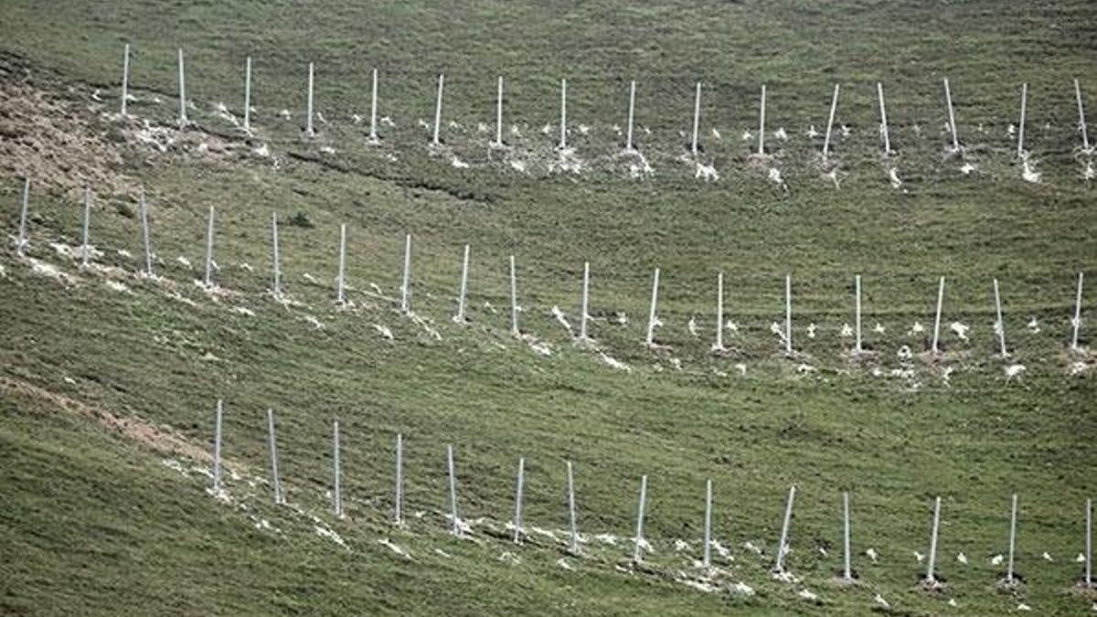 Türkiye’de bir ilk Zigana Dağı'nda gerçekleştiriliyor