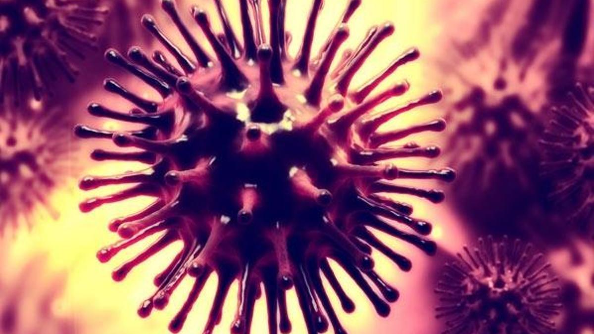 Dünyayı tehdit eden bakteri! Tüm antibiyotiklere dayanıklı...