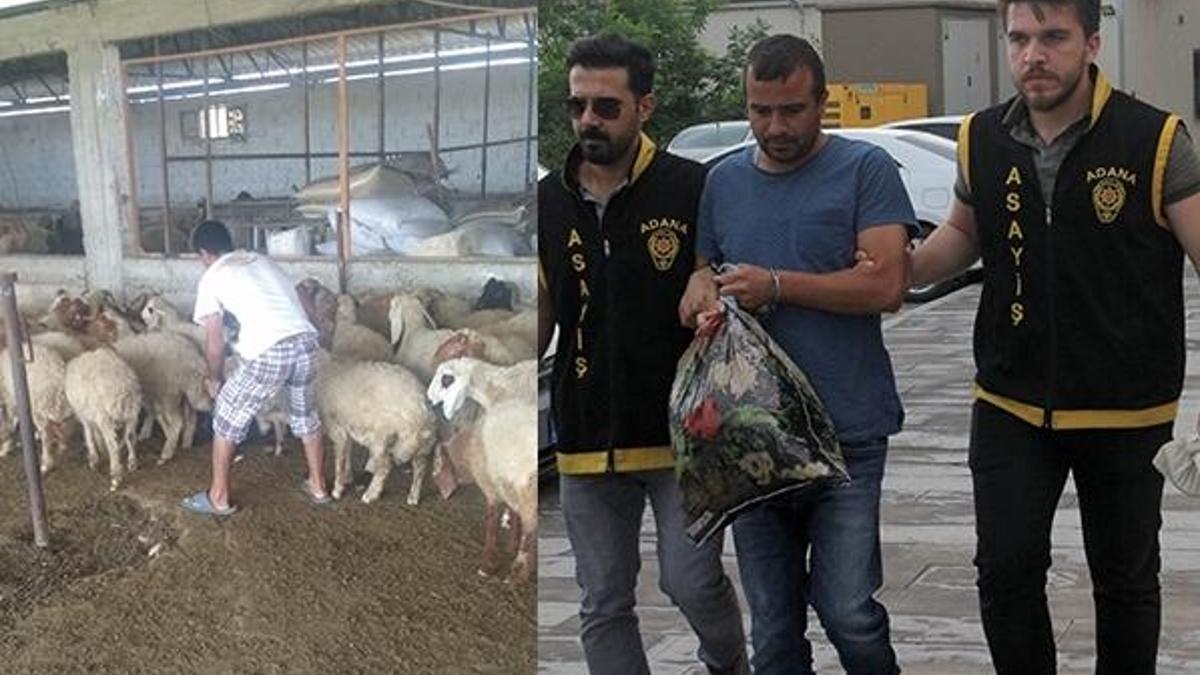 Vatandaşı dolandırıp çiftlik kurdu