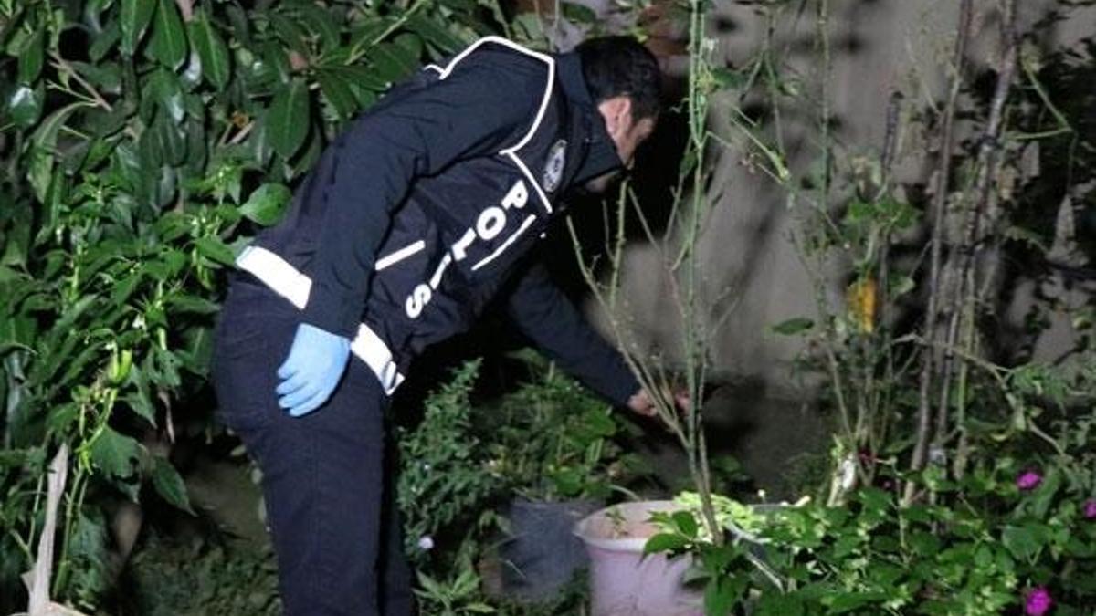 Son dakika: İstanbul’da şafak vakti dev operasyon! Çok sayıda gözaltı var