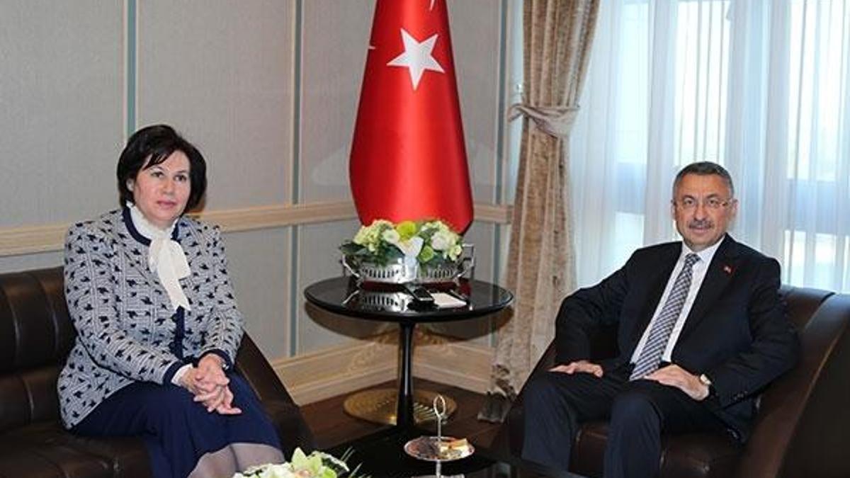 Oktay, Danıştay Başkanı Güngör'ü kabul etti